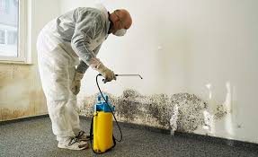 Mold Removal for HVAC Installations in Lemoore, CA