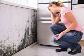 Mold Remediation for Rental Properties in Lemoore, CA